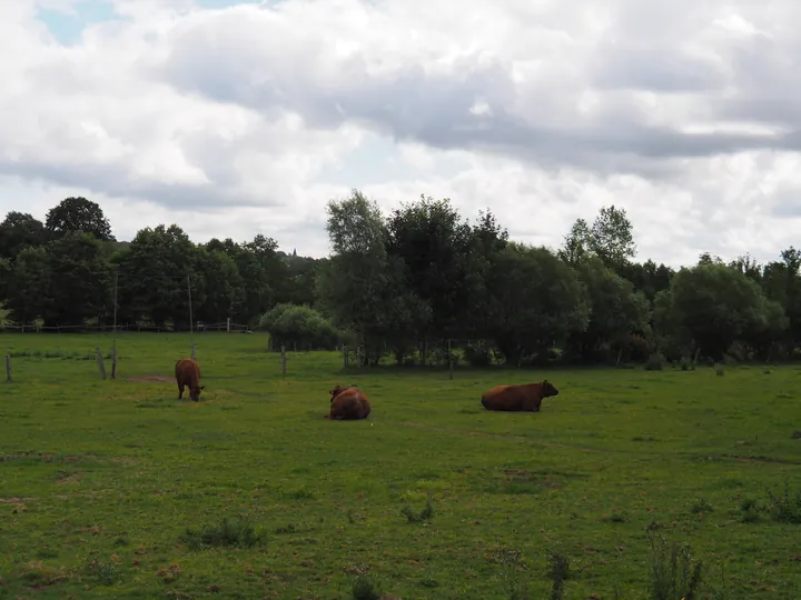 Ferme de la Planche (barefoot path) (België)